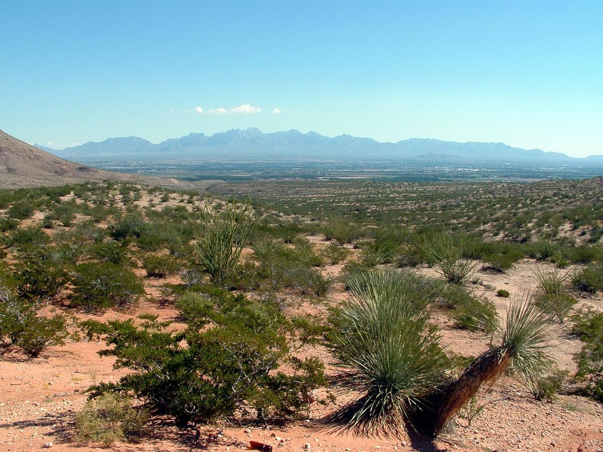 The Mesilla Valley and the Organ Mountains seen across the desert